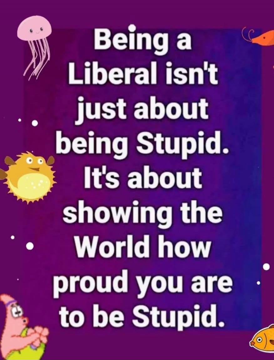 Being a Liberal isn't just about being Stupid. It's about showing the World how proud you are to be Stupid.