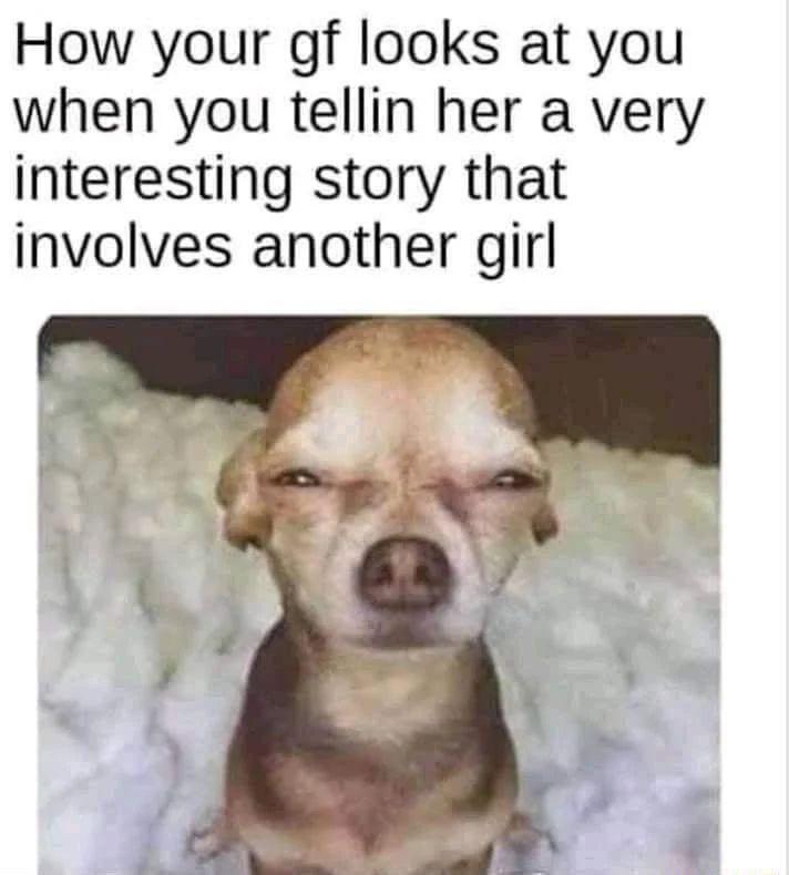 How your gf looks at you when you tellin her a very interesting story that involves another girl