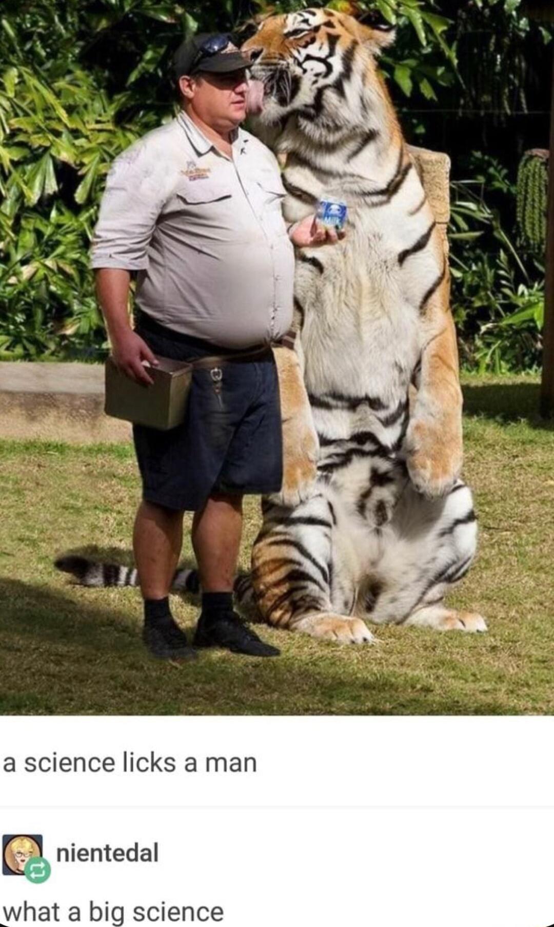 a science licks a man Eg nientedal what a big science