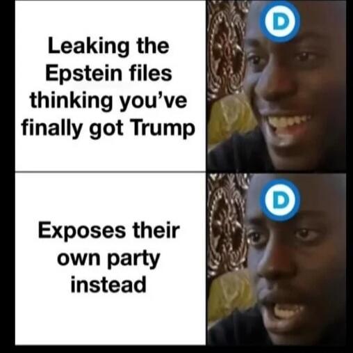 Leaking the Epstein files thinking you’ve finally got Trump
Exposes their own party instead