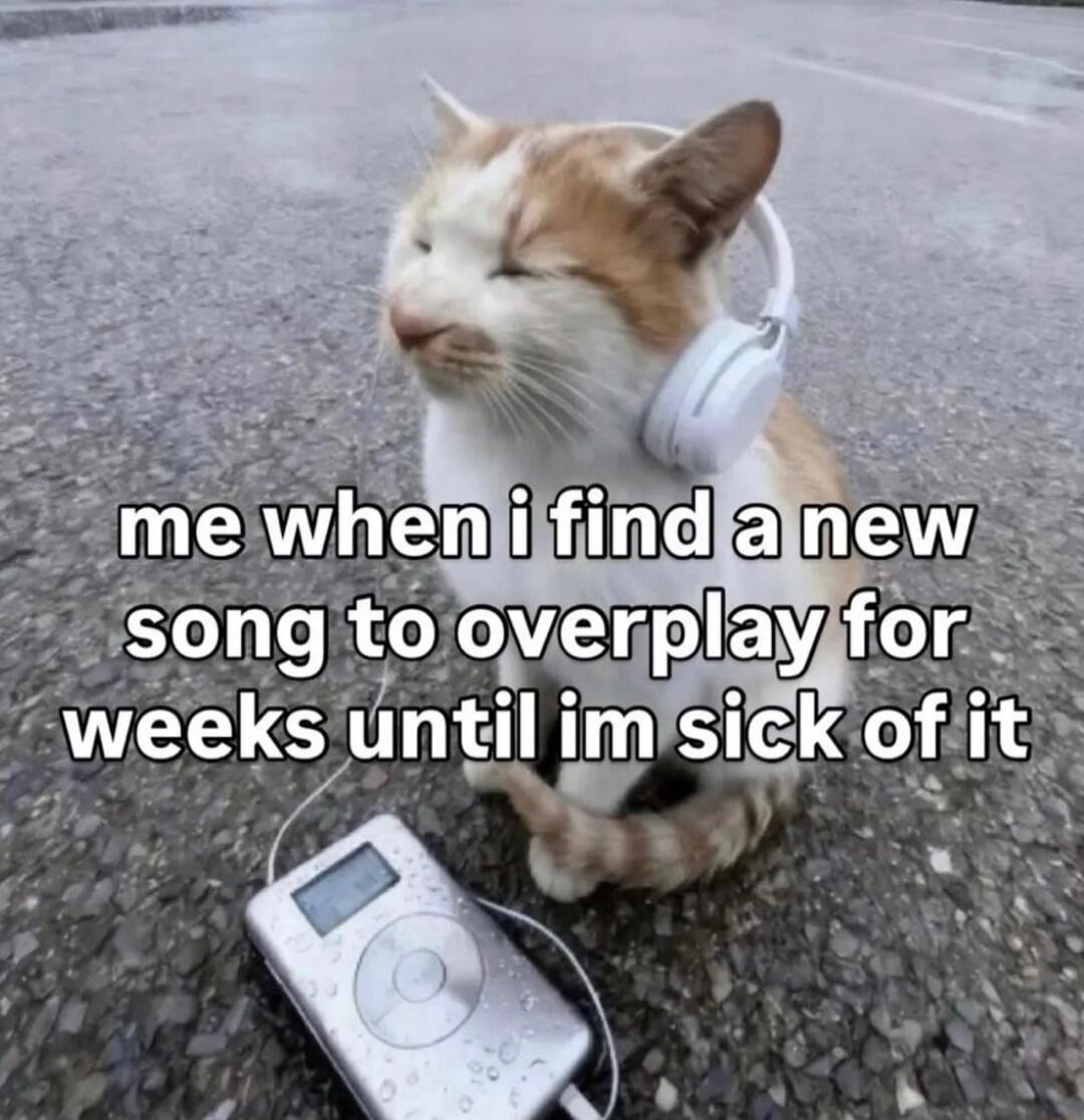 me when i find a new song to overplay for weeks until im sick of it