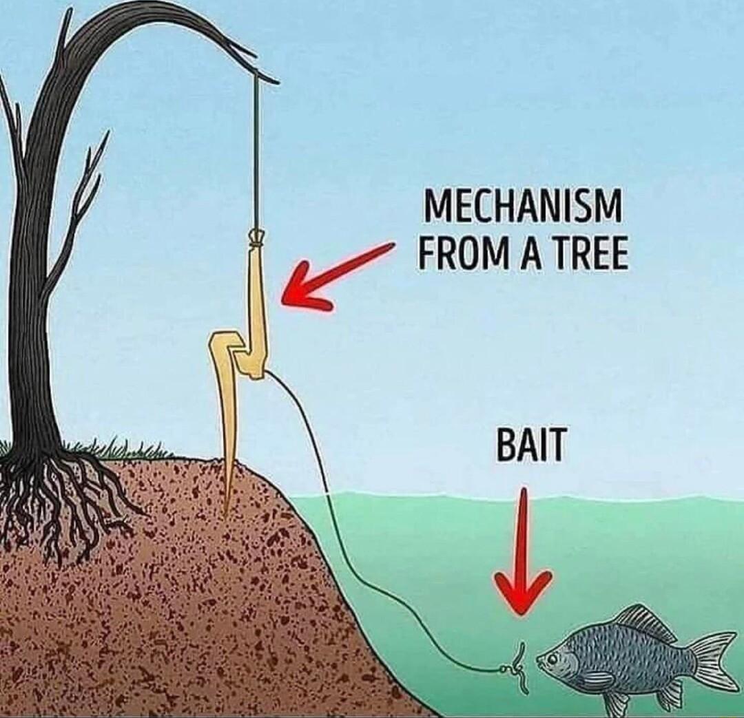 MECHANISM FROM A TREE