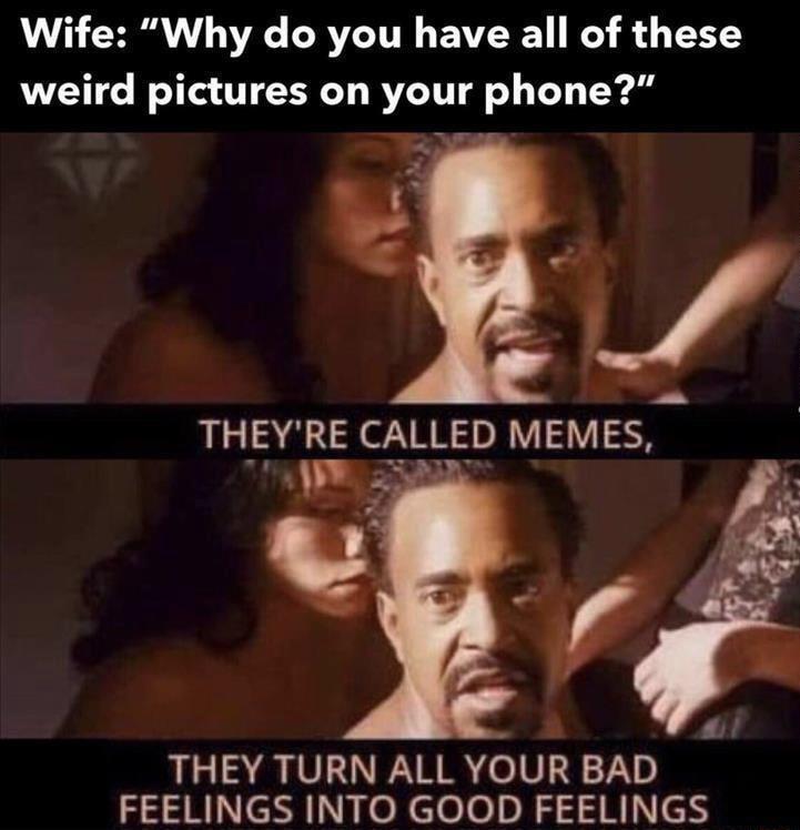 Wife Why do you have all of these weird pictures on your phone THEVRE C_R_LITED MEMES B THEY TURN ALL YOUR BAD FEELINGS INTO GOOD FEELINGS