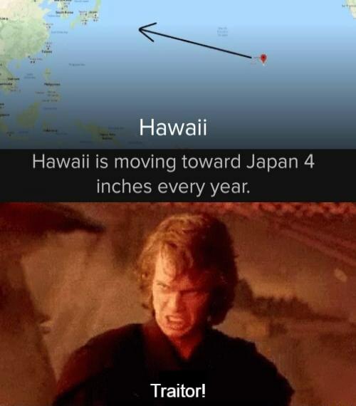 Hawaii
Hawaii is moving toward Japan 4 inches every year.
Traitor!