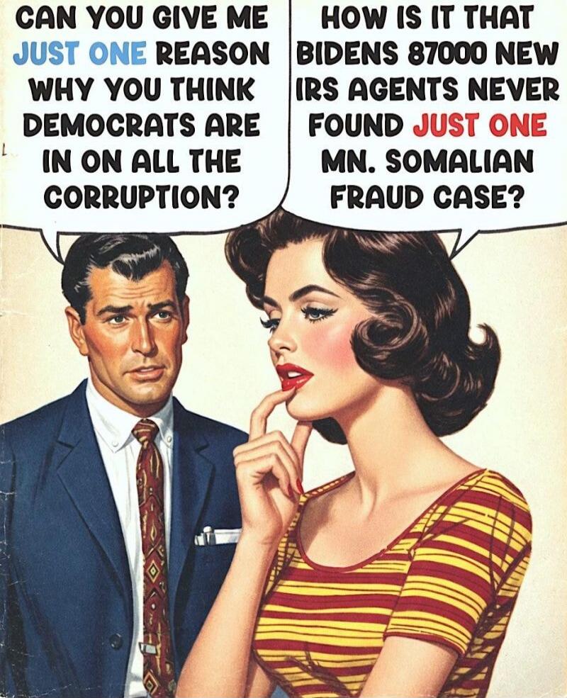 CAN YOU GIVE ME JUST ONE REASON WHY YOU THINK DEMOCRATS ARE IN ON ALL THE CORRUPTION? HOW IS IT THAT BIDENS 87000 NEW IRS AGENTS NEVER FOUND JUST ONE MN. SOMALIAN FRAUD CASE?