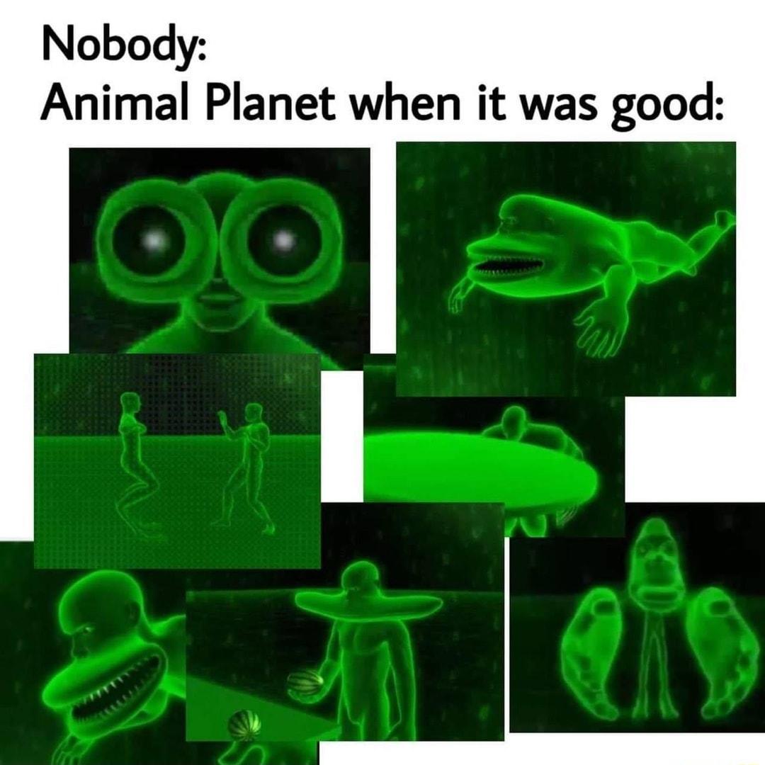 Nobody Animal Planet when it was good