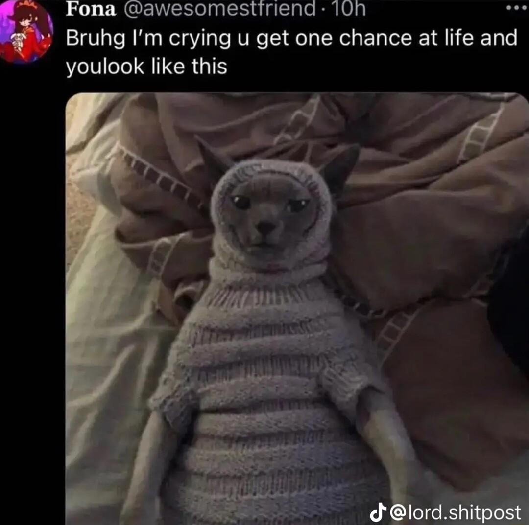 ann awesomestiriend 10h Bruhg Im crying u get one chance at life and youlook like this 3