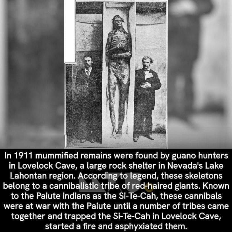 B P LR EARE Ty L RE BRI CR CITL G TER D T E in Lovelock Cave a large rock shelter in Nevadas Lake Lahontan region According to legend these skeletons belong to a cannibalistic tribe of red haired giants Known to the Paiute indians as the Si Te Cah these cannibals were at war with the Paiute until a number of tribes came together and trapped the Si Te Cah in Lovelock Cave BECOER ICELLES MR RGEN N