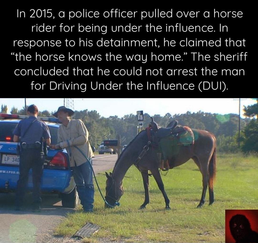 In 2015 a police officer pulled over a horse rider for being under the influence In response to his detainment he claimed that the horse knows the way home The sheriff elyleVelleRileld TN elelt Nylel fely R B3I agleTy for Driving Under the Influence DUI