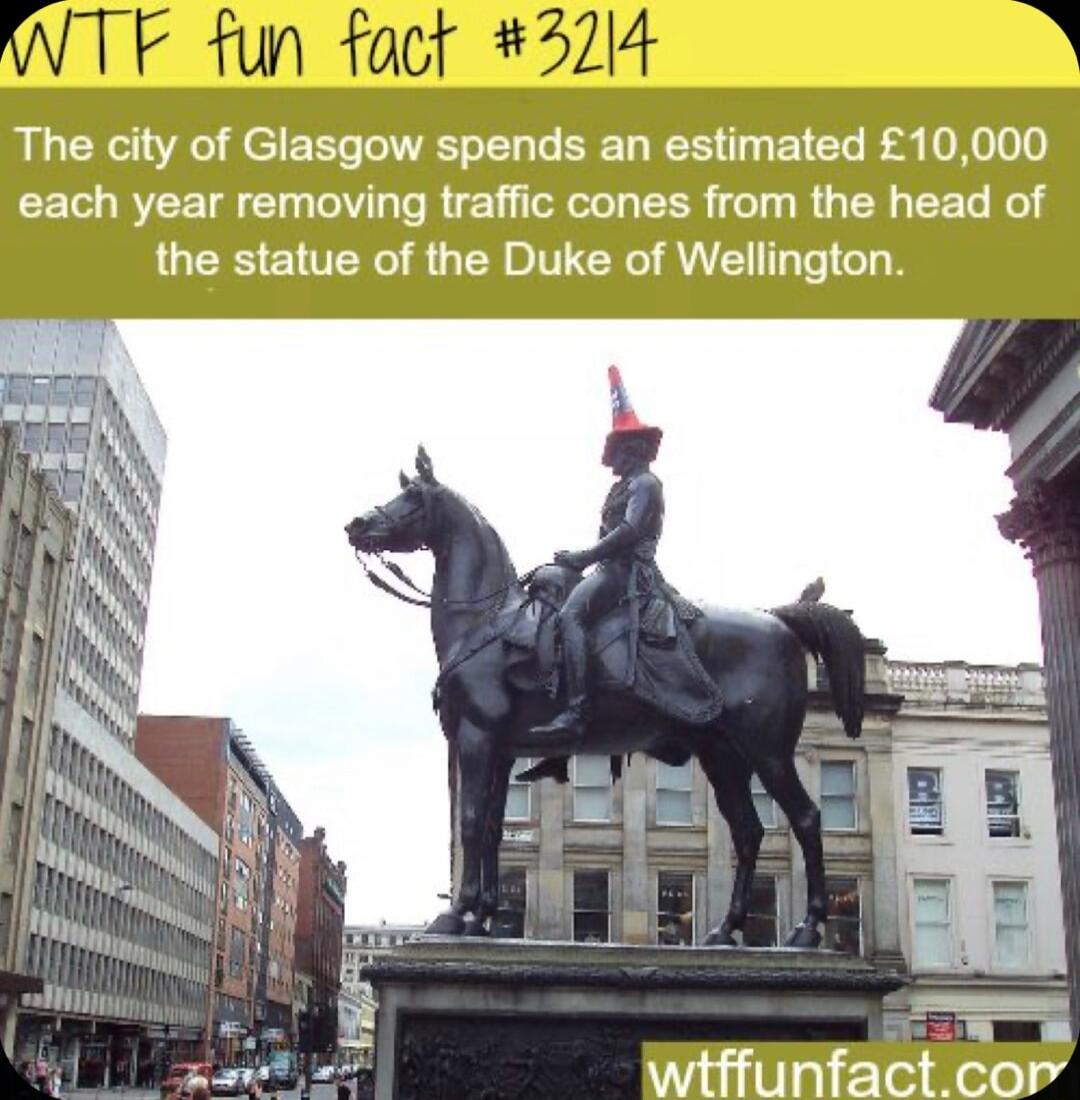 The city of Glasgow spends an estimated 10000 each year removing traffic cones from the head of the statue of the Duke of Wellington witffunfactcor