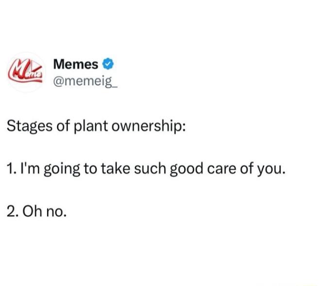 t Memes memeig_ Stages of plant ownership 1 Im going to take such good care of you 20hno