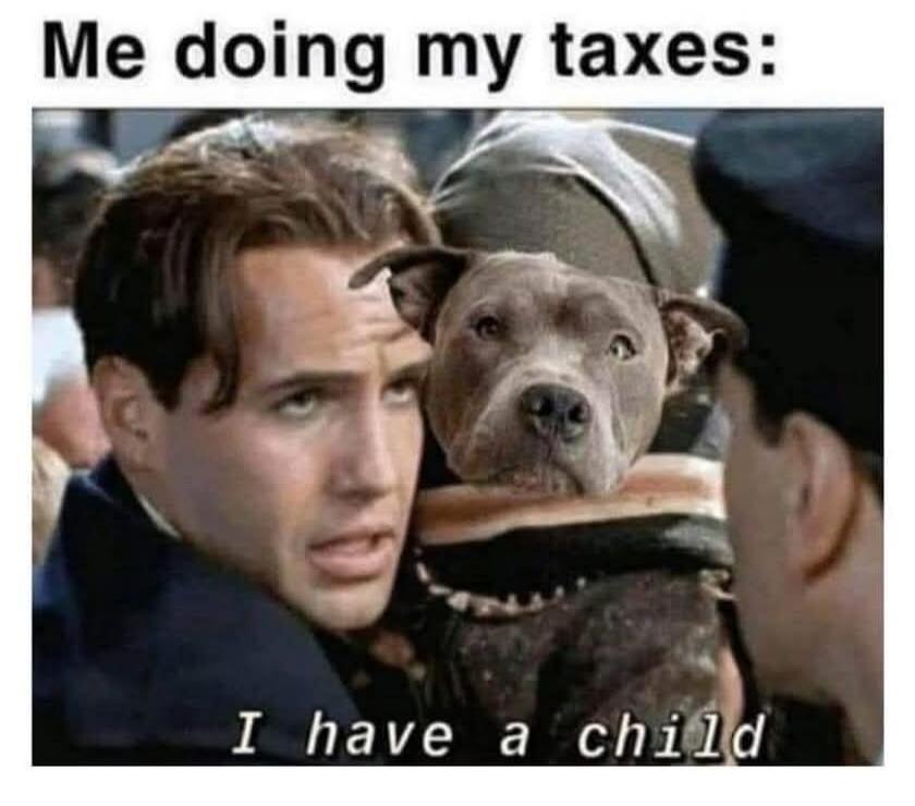 Me doing my taxes: I have a child