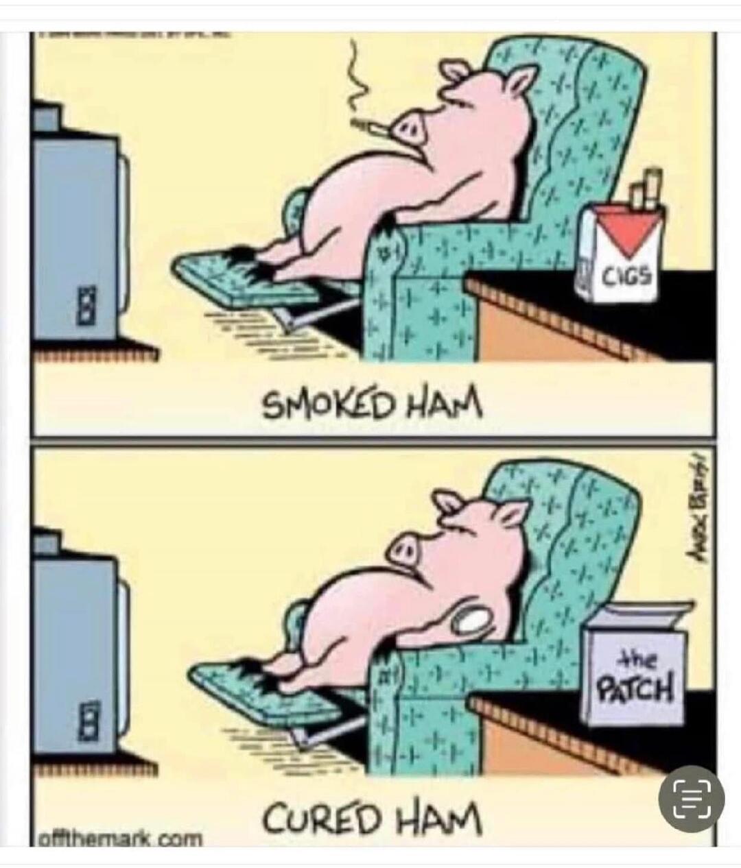 A two-panel comic strip. In the first panel, a pig is relaxing in an armchair, smoking a cigarette, with a pack of 'CIGS' on a side table. The text below reads 'SMOKED HAM'. In the second panel, the same pig is in the armchair, no longer smoking, and a box labeled 'the PATCH' is on the side table. The text below reads 'CURED HAM'. The comic plays o