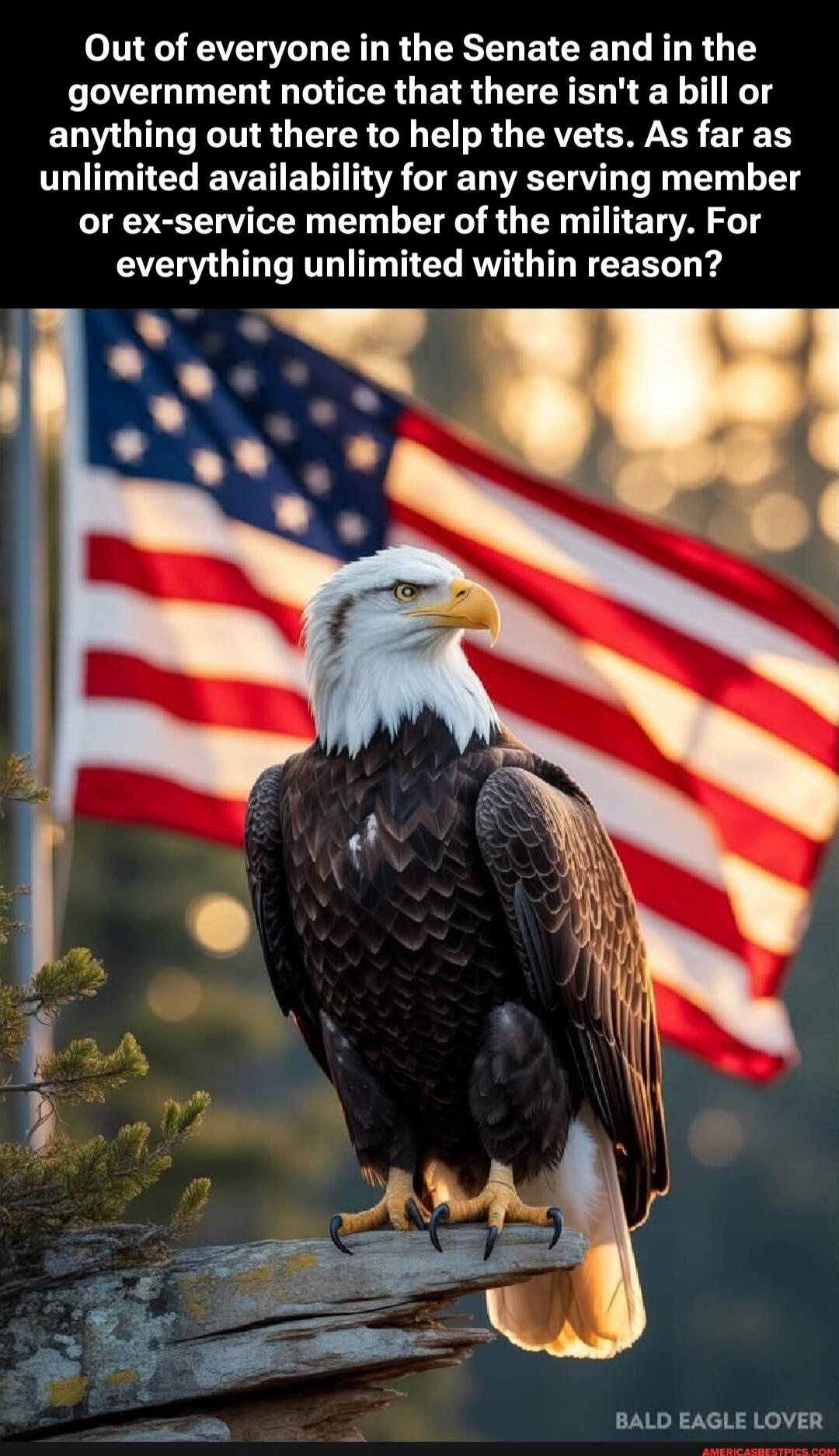 Out of everyone in the Senate and in the government notice that there isn't a bill or anything out there to help the vets. As far as unlimited availability for any serving member or ex-service member of the military. For everything unlimited within reason?