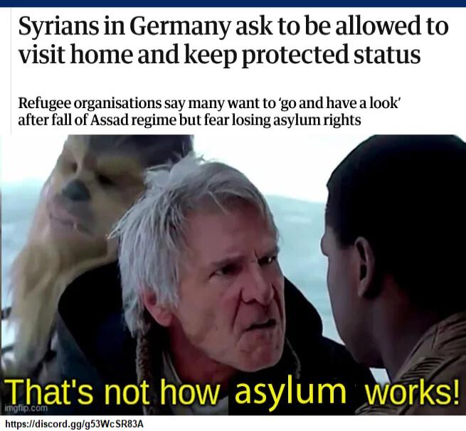 Syrians in Germany ask to be allowed to visit home and keep protected status Refugee organisations say many want to go and have a look after fall of Assad regime but fearlosing asylum rights