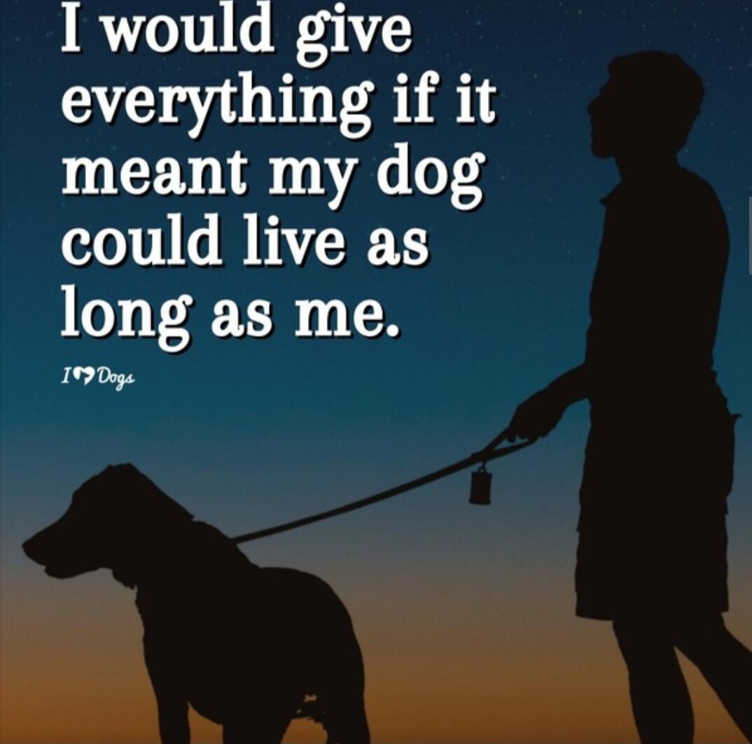 I would give everything if it meant my dog could live as long as me.