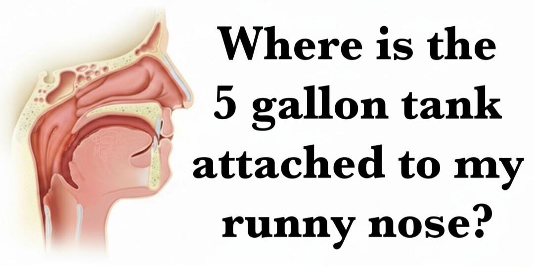 Where is the 5 gallon tank attached to my runny nose?
