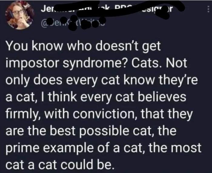 AP Jer e L BRT ooy Oy GJed AL IVE o YA To e oTT1 s R e T impostor syndrome Cats Not only does every cat know theyre a cat think every cat believes firmly with conviction that they are the best possible cat the prime example of a cat the most cat a cat could be