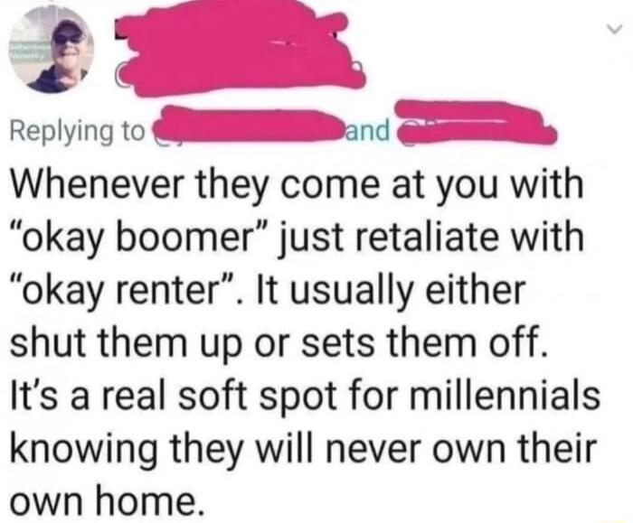 Replying Ioandn Whenever they come at you with okay boomer just retaliate with okay renter It usually either shut them up or sets them off Its a real soft spot for millennials knowing they will never own their own home