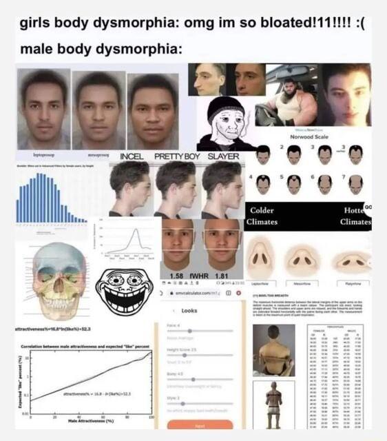girls body dysmorphia omg im so bloated 11111 male body dysmorphia