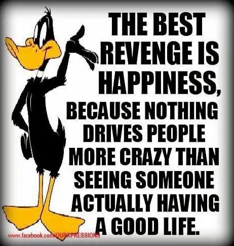 THE BEST REVENGE IS HAPPINESS, BECAUSE NOTHING DRIVES PEOPLE MORE CRAZY THAN SEEING SOMEONE ACTUALLY HAVING A GOOD LIFE.