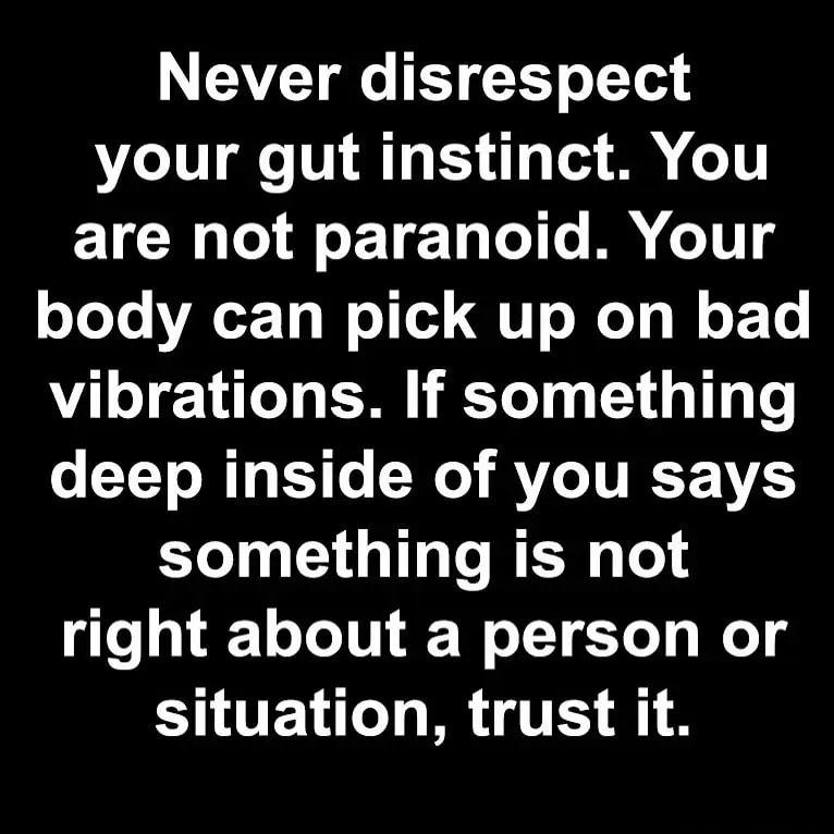 AT e EY T oY s your gut instinct You are not paranoid Your oJoTo VALF To oTod QT o MeI o o LLe vibrations If something o YY o T Lo W AV Y something is not right about a person or situation trust it