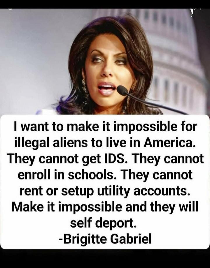 I want to make it impossible for illegal aliens to live in America. They cannot get IDS. They cannot enroll in schools. They cannot rent or setup utility accounts. Make it impossible and they will self deport. -Brigitte Gabriel