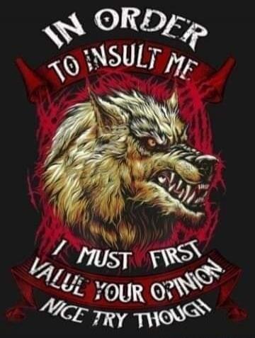 IN ORDER TO INSULT ME I MUST FIRST VALUE YOUR OPINION! NICE TRY THOUGHT