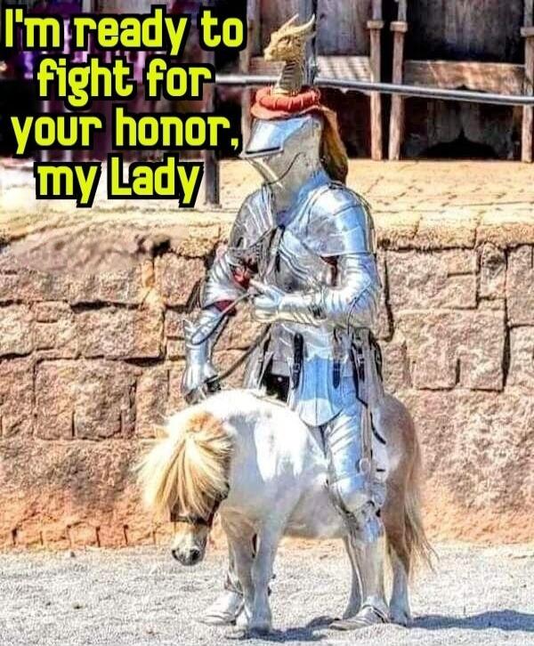 I'M ready to fight for your honor, my Lady