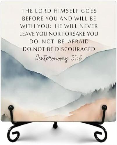 THE LORD HIMSELF GOES BEFORE YOU AND WILL BE WITH YOU; HE WILL NEVER LEAVE YOU NOR FORSAKE YOU DO NOT BE AFRAID DO NOT BE DISCOURAGED Deuteronomy 31:8