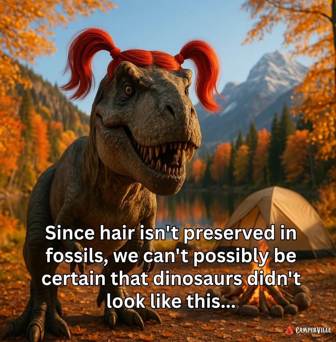 Since hair isn't preserved in fossils, we can't possibly be certain that dinosaurs didn't look like this...