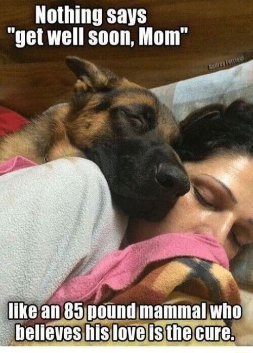 m like an 85nound mammal nn helieves hisjlovelisithelcure S