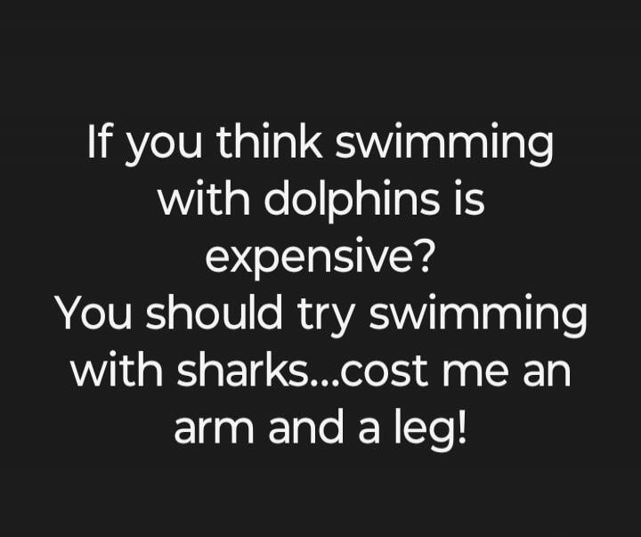 If you think swimming with dolphins is expensive? You should try swimming with sharks...cost me an arm and a leg!