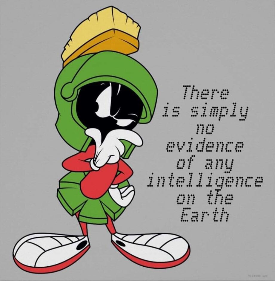 There is simply no evidence of any intelligence on the Earth