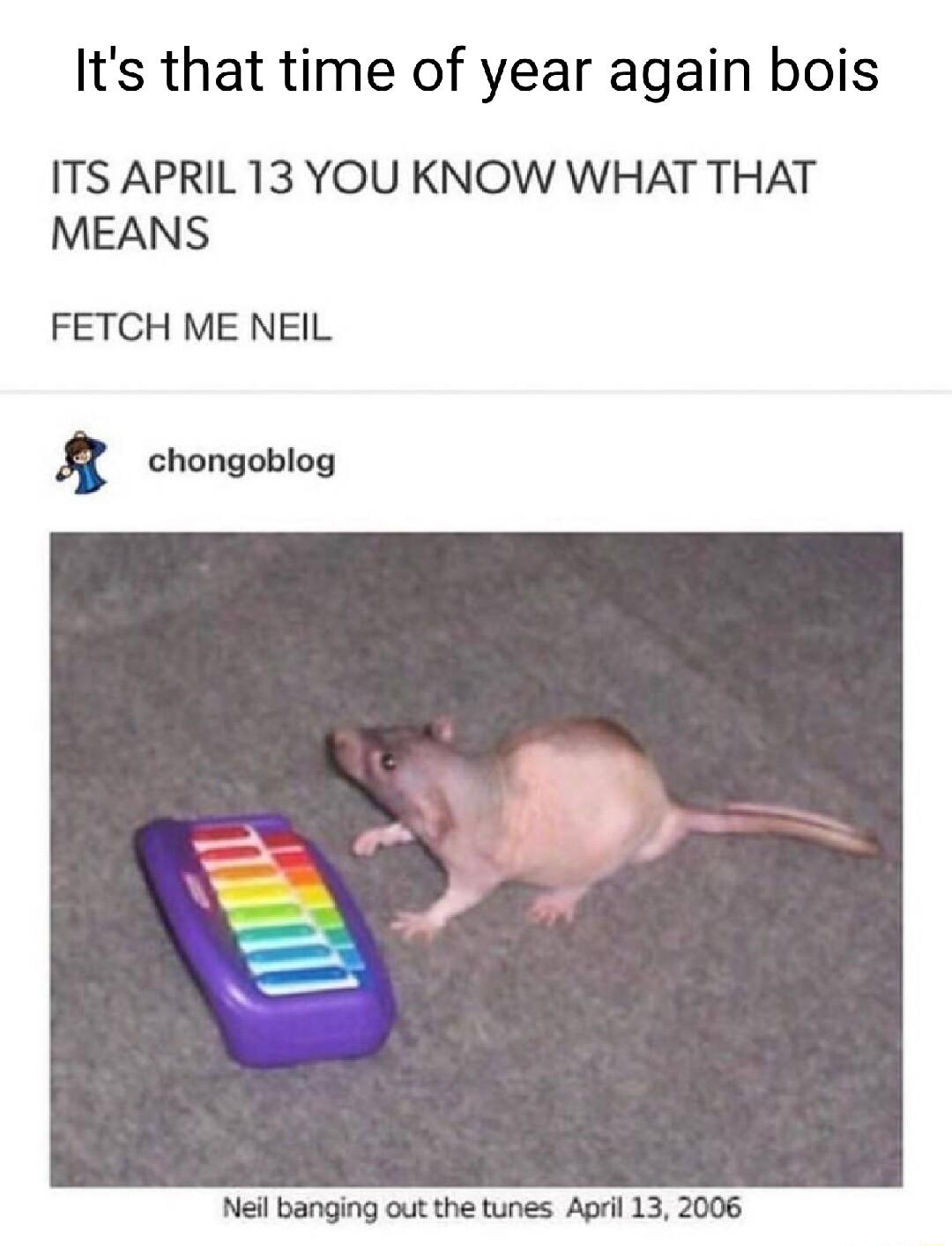 Its that time of year again bois ITS APRIL 13 YOU KNOW WHAT THAT MEANS FETCH ME NEIL 8 chongoblog Neil banging out the tunes April 13 2006