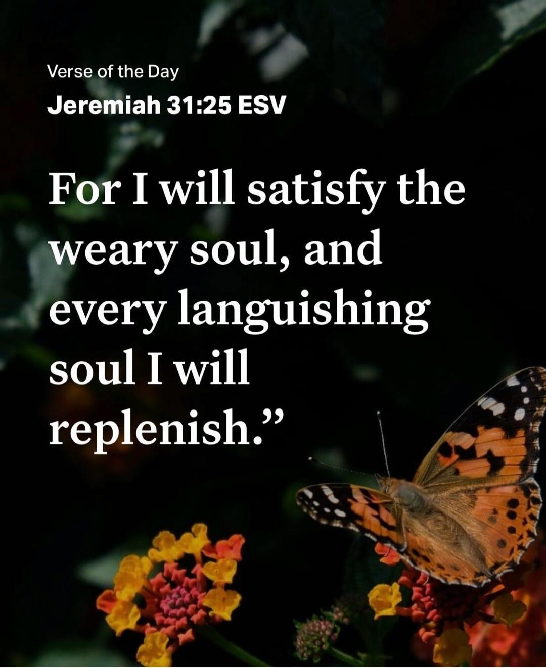 Verse of the Day
Jeremiah 31:25 ESV
For I will satisfy the weary soul, and every languishing soul I will replenish.
