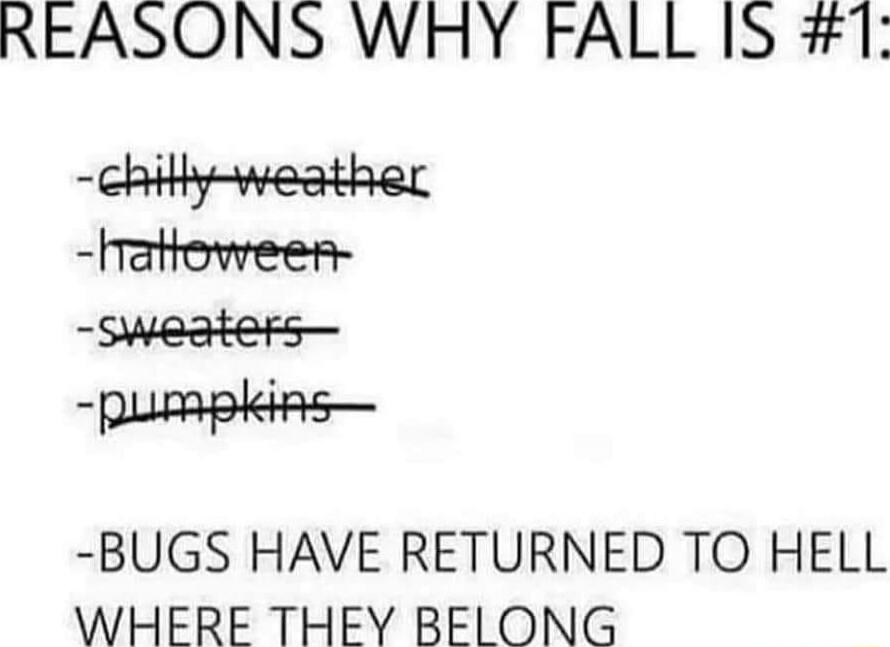 REASONS WHY FALL IS #1:
- chilly weather
- Halloween
- sweaters
- pumpkins
- BUGS HAVE RETURNED TO HELL WHERE THEY BELONG
