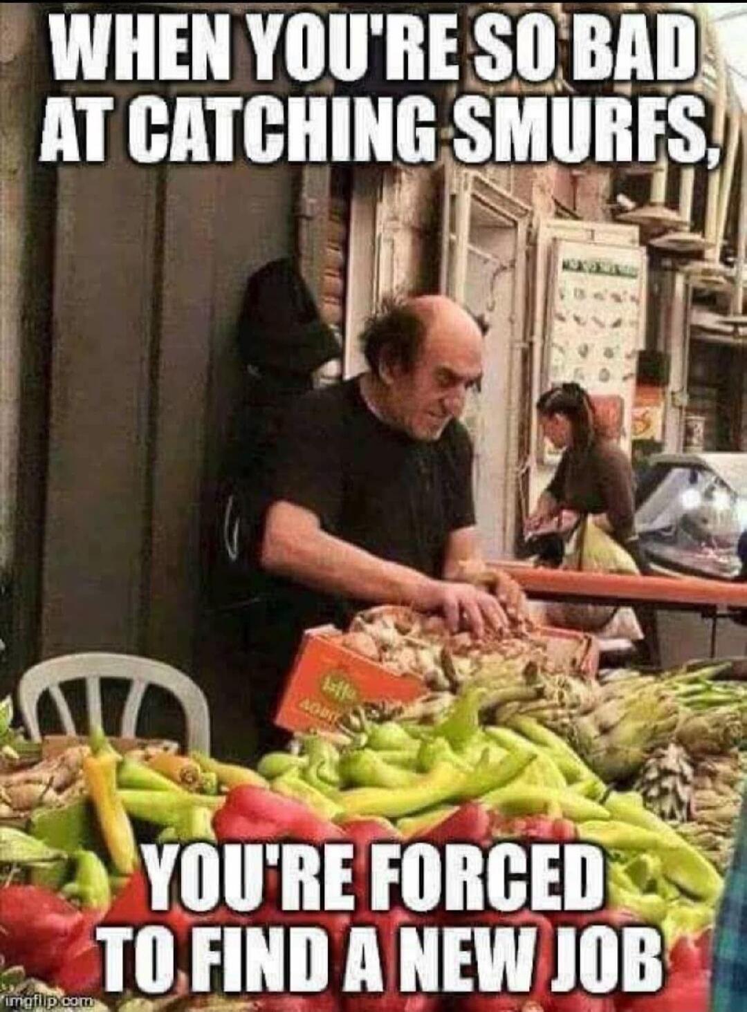 WHEN YOU'RE SO BAD AT CATCHING SMURFS, YOU'RE FORCED TO FIND A NEW JOB