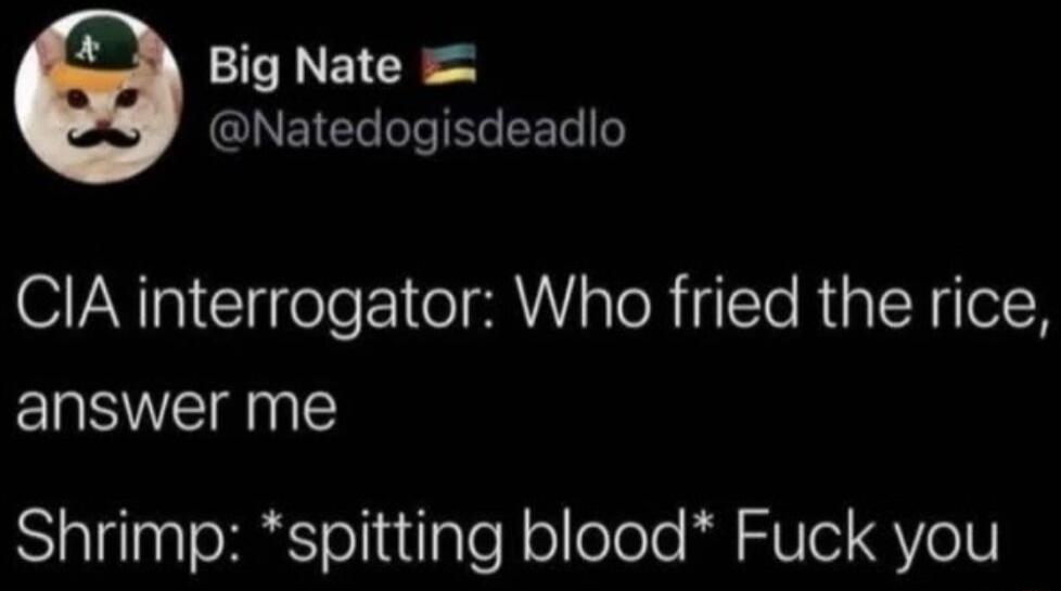 CIA interrogator: Who fried the rice, answer me
Shrimp: *spitting blood* Fuck you
