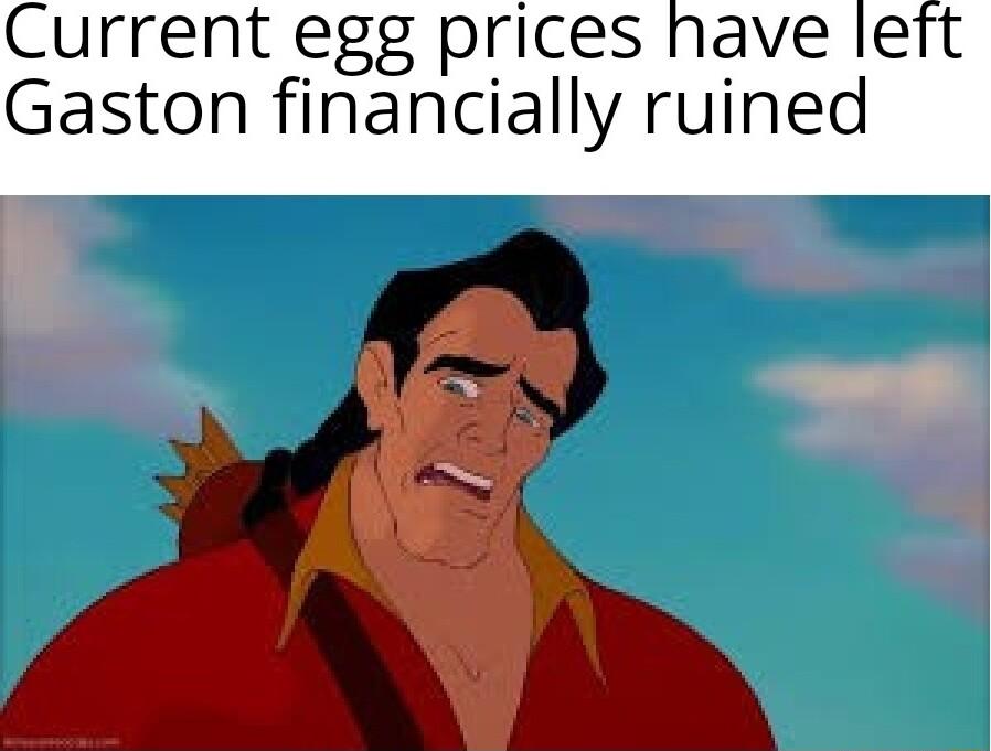 Current egg prices have left Gaston financially ruined