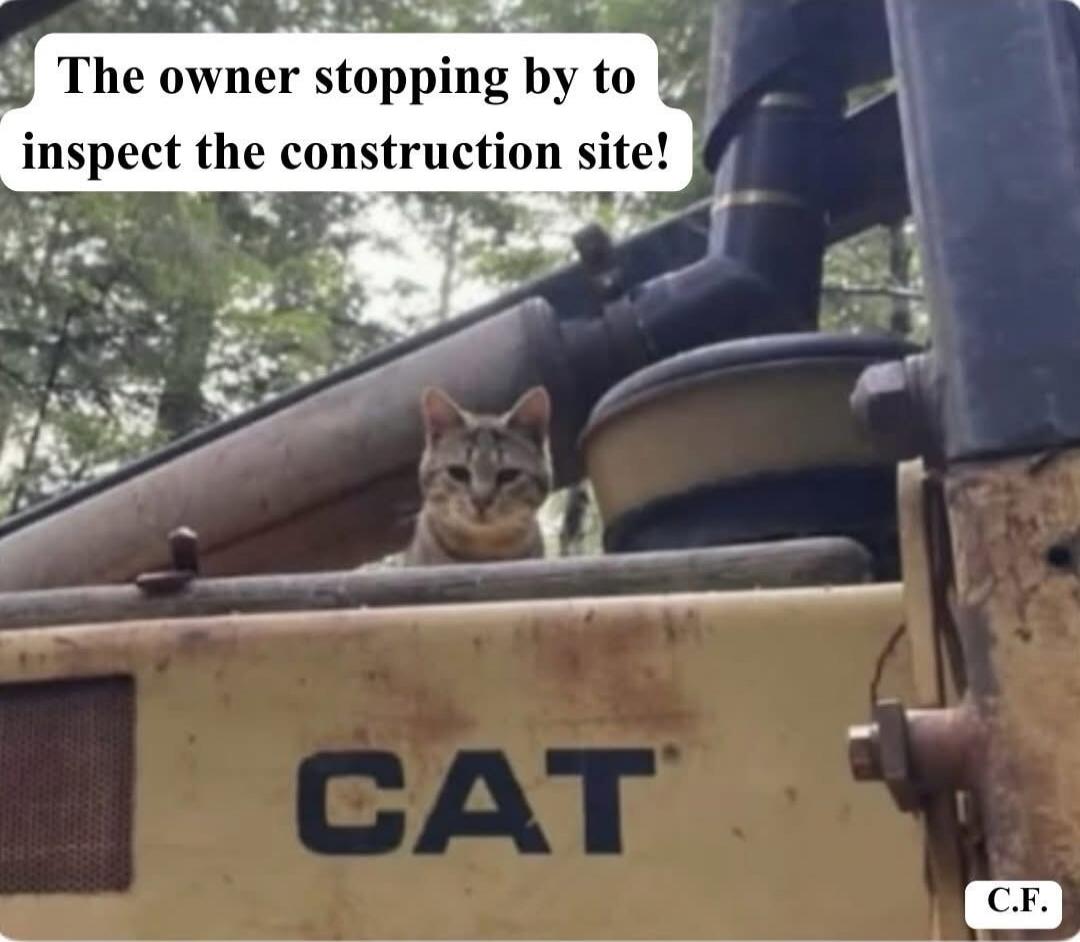 The owner stopping by to inspect the construction site! CAT