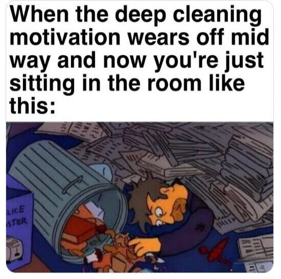 When the deep cleaning motivation wears off mid way and now you're just sitting in the room like this: