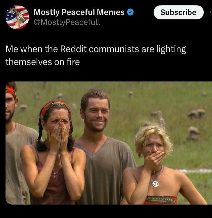 2 Mostly Peaceful Memes ostlyPeacefull Me when the Reddit communists are lighting themselves on fire