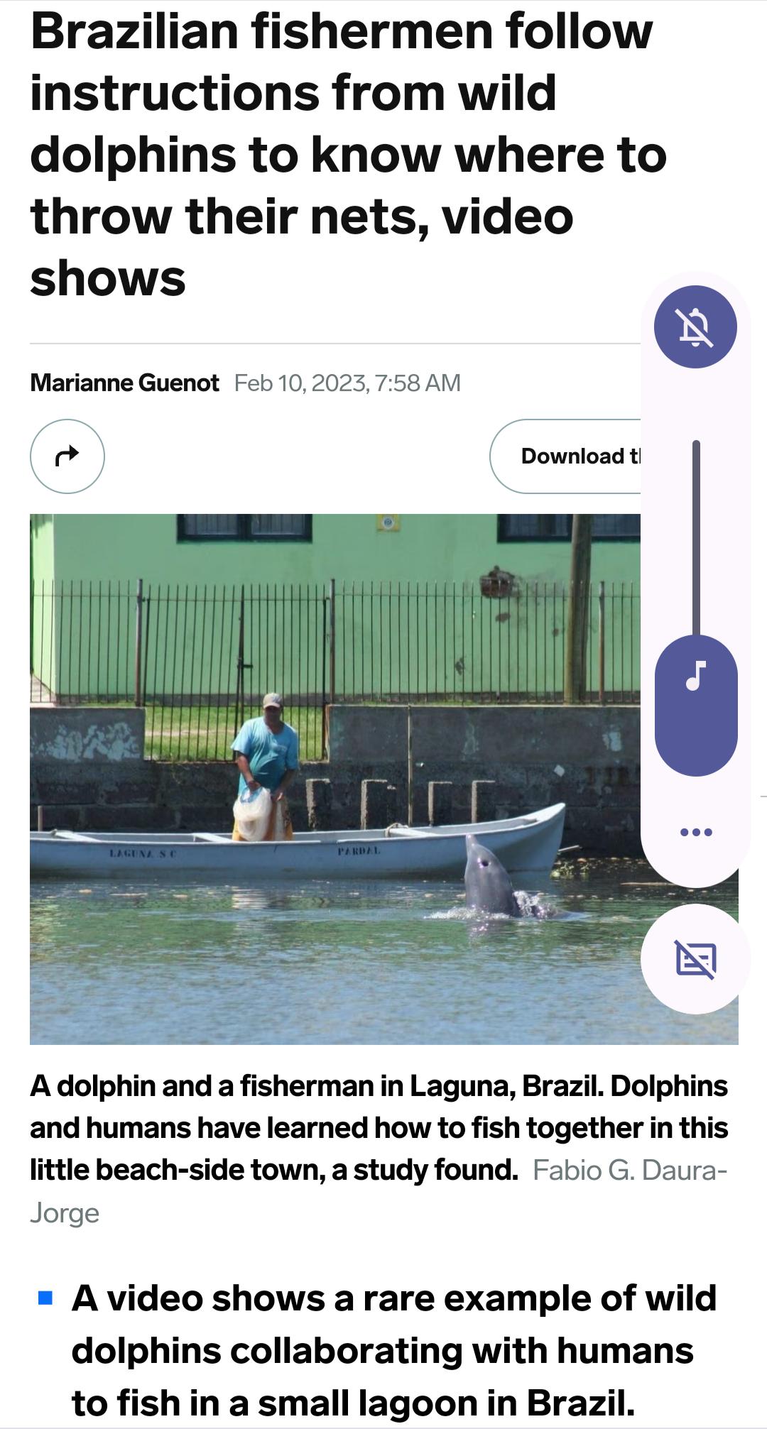 Brazilian fishermen follow instructions from wild dolphins to know where to throw their nets video shows o Marianne Guenot Feb 102023 758 Al ct Download ti A dolphin and a fisherman in Laguna Brazil Dolphins and humans have learned how to fish together in this little beach side town a study found Fabio G Daura Jorge A video shows a rare example of wild dolphins collaborating with humans to fish in