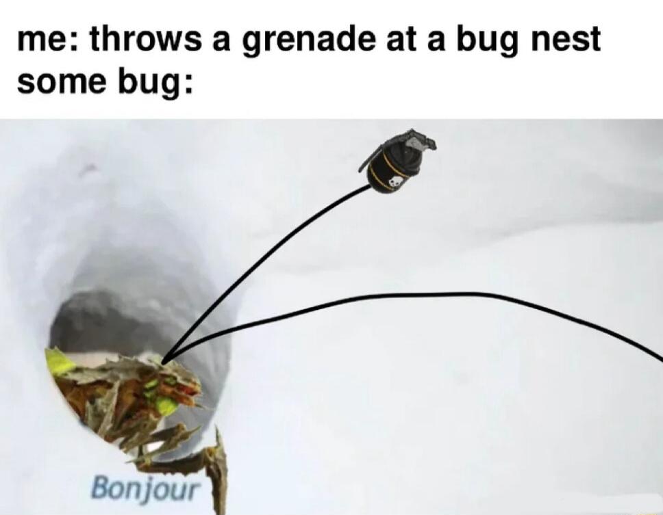 me throws a grenade at a bug nest some bug