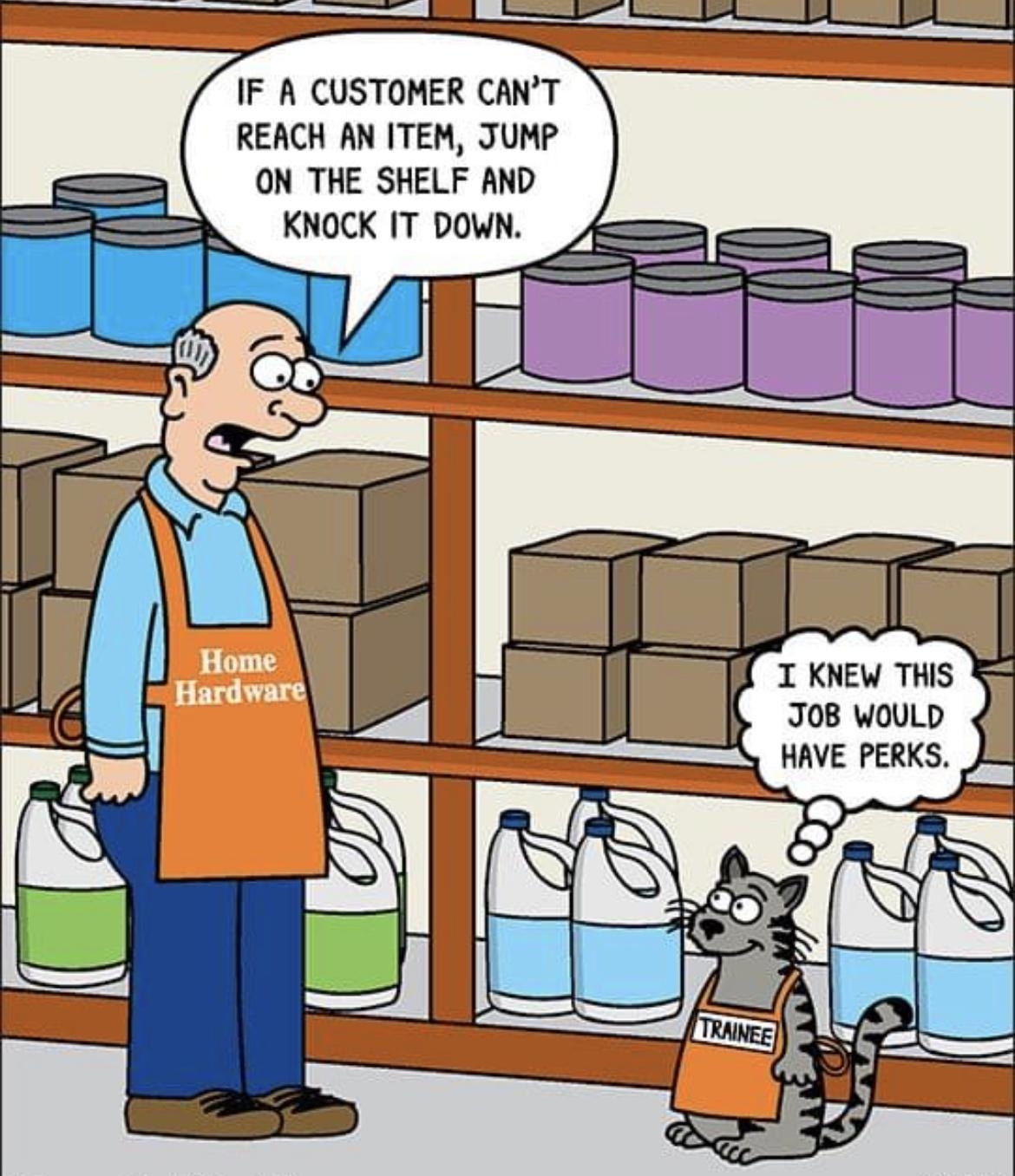 IF A CUSTOMER CANT REACH AN ITEM JUNP ON THE SHELF AND KNOCK IT DOWN