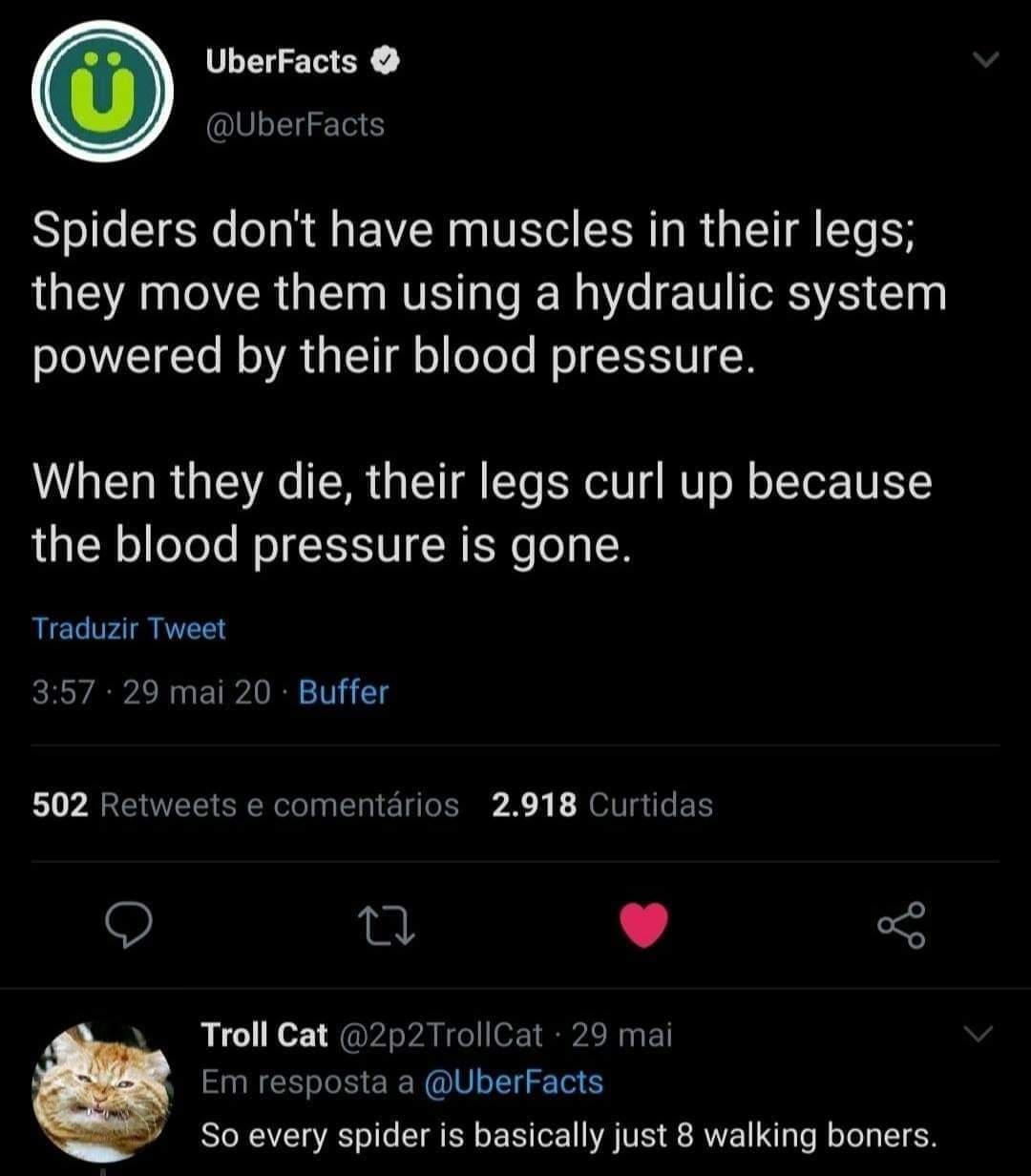 UberFacts UberFacts Spiders dont have muscles in their legs they move them using a hydraulic system sTeXWVZTTe Mo VAt g T g o oToTe Mol LU When they die their legs curl up because the blood pressure is gone Traduzir Tweet 357 29 mai 20 Buffer 502 Retweets e comentarios 2918 Curtidas O 0 L 4 5 4 LI Ko R pAsPA R ol AN l Em resposta a UberFacts SORA g VRTo o LT RN E 0 A VES AW Ta e R o Te T