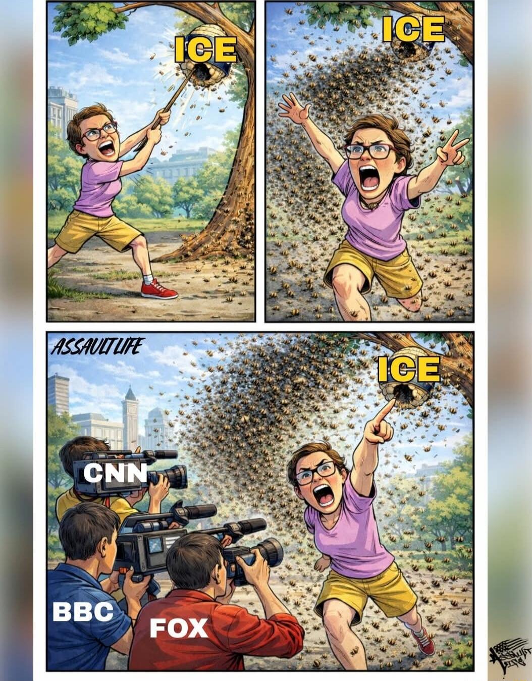ICE ICE ASSAULTLITE CNN BBC FOX