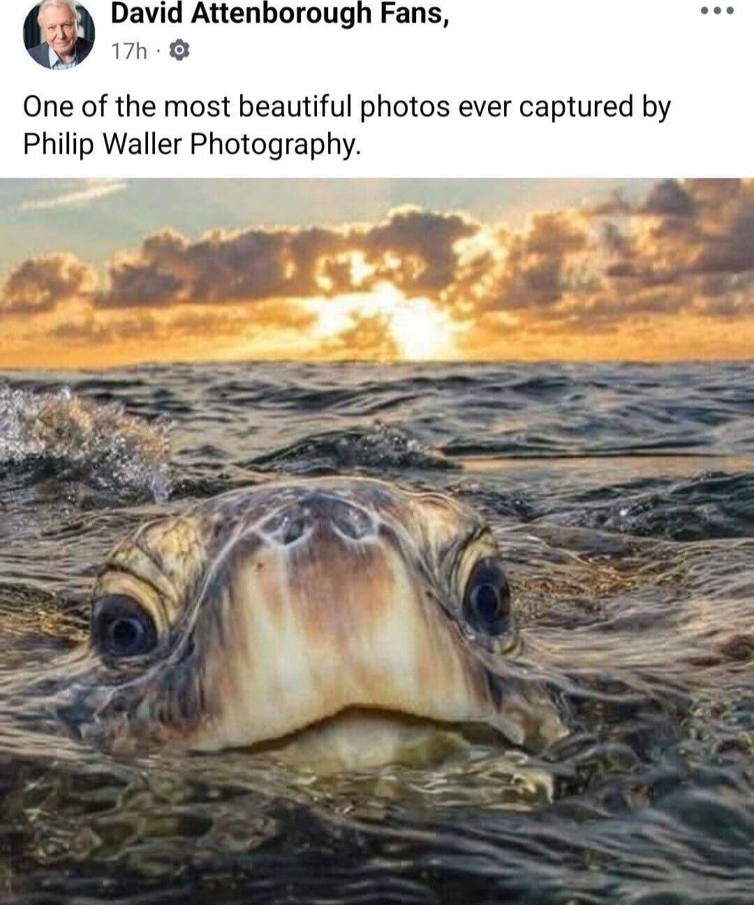 One of the most beautiful photos ever captured by Philip Waller Photography.