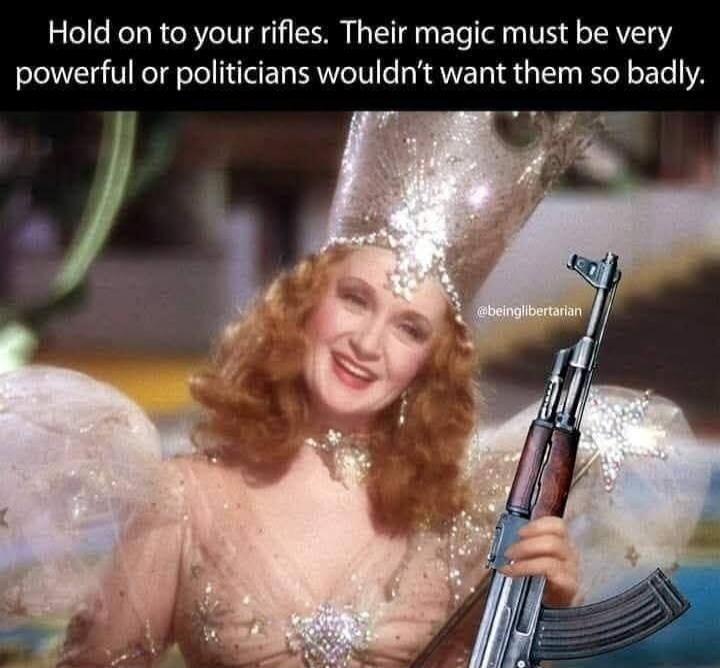 Hold on to your rifles. Their magic must be very powerful or politicians wouldn't want them so badly.